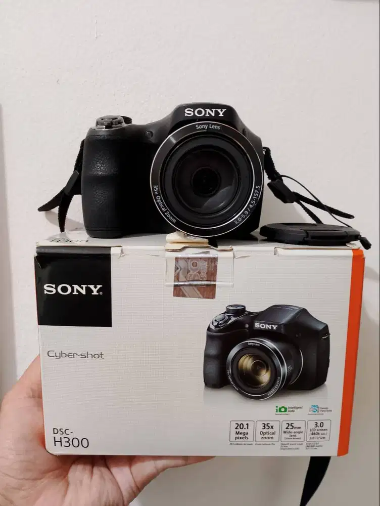 Sony DSC - H300