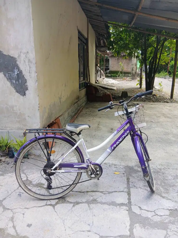 Sepeda Dewasa merek PHOENIX