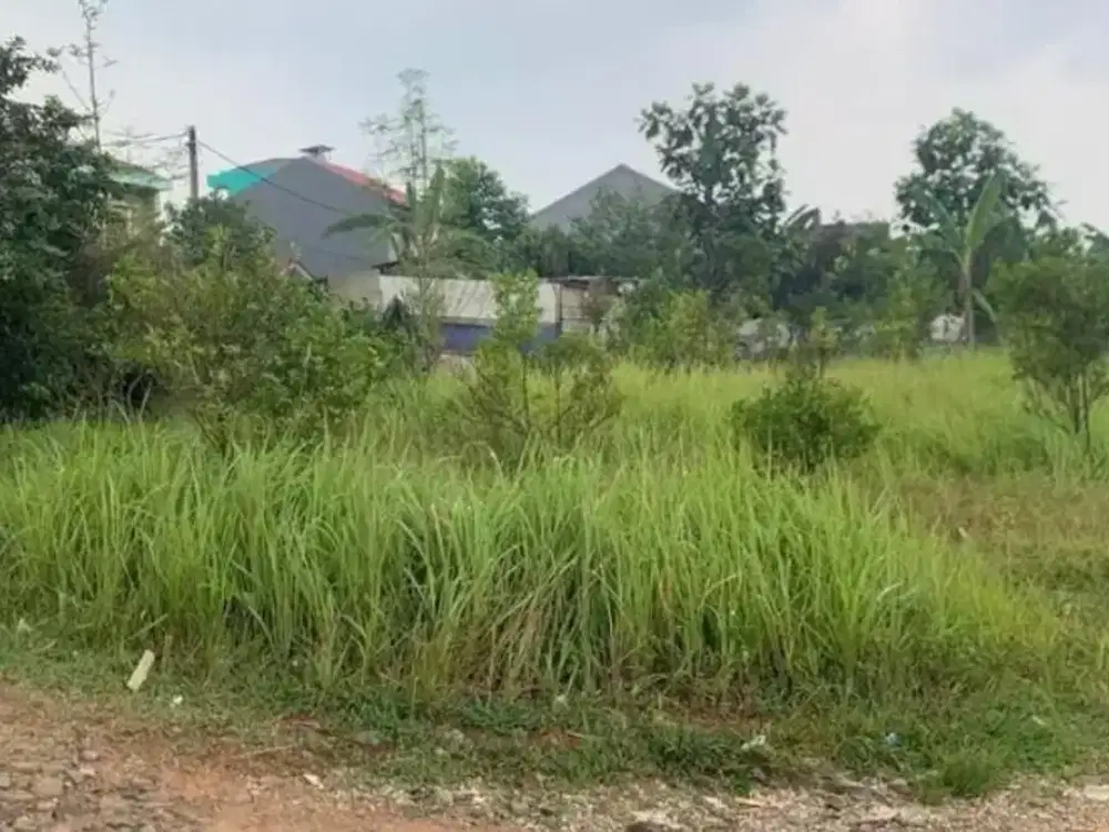 Dijual Kavling Desa Lapan Suradit Cisauk  Lokasi strategis Tangerang Banten