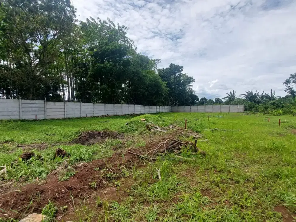 Termurah Kavling SHM Cisauk, Dekat Stasiun Cicayur & Jatake.