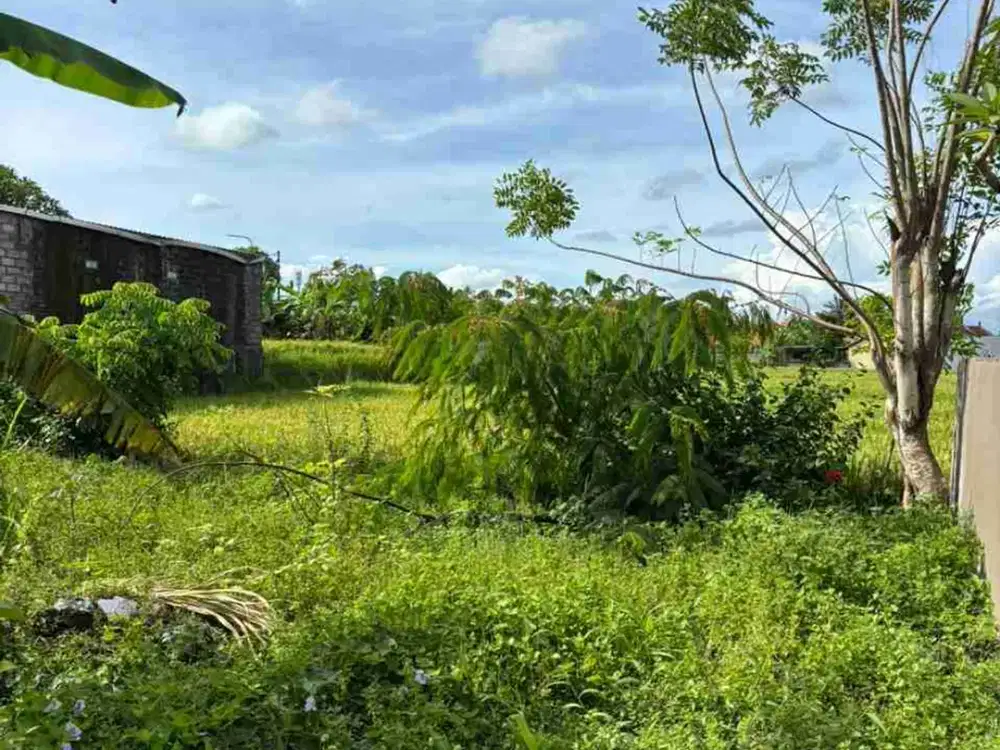 Tanah 2 Are Singapadu Dekat Ubud