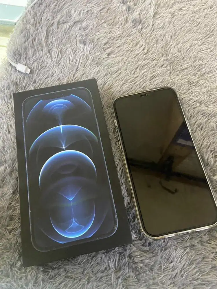 Iphone 12 Pro Max 256 Gb