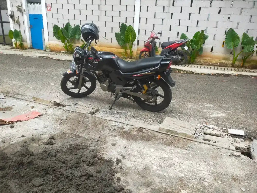 Jual santai Tiger Lawas Tahun 2001