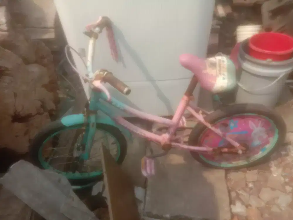 Sepeda Anak Sayang Anak