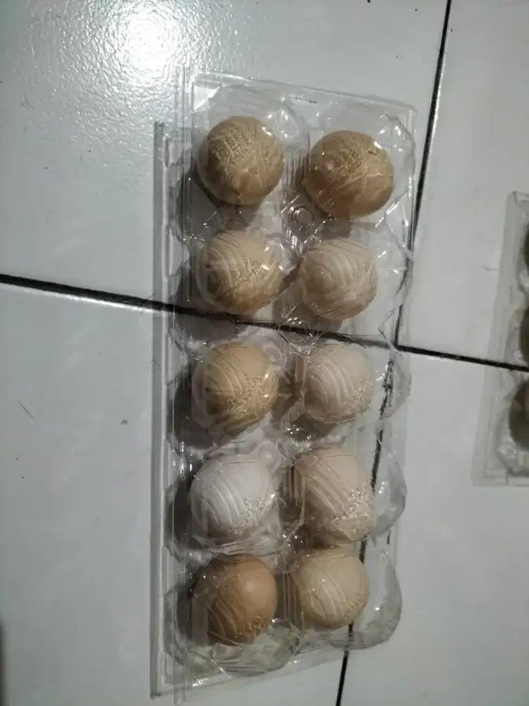 Jual telur ayam arab asli