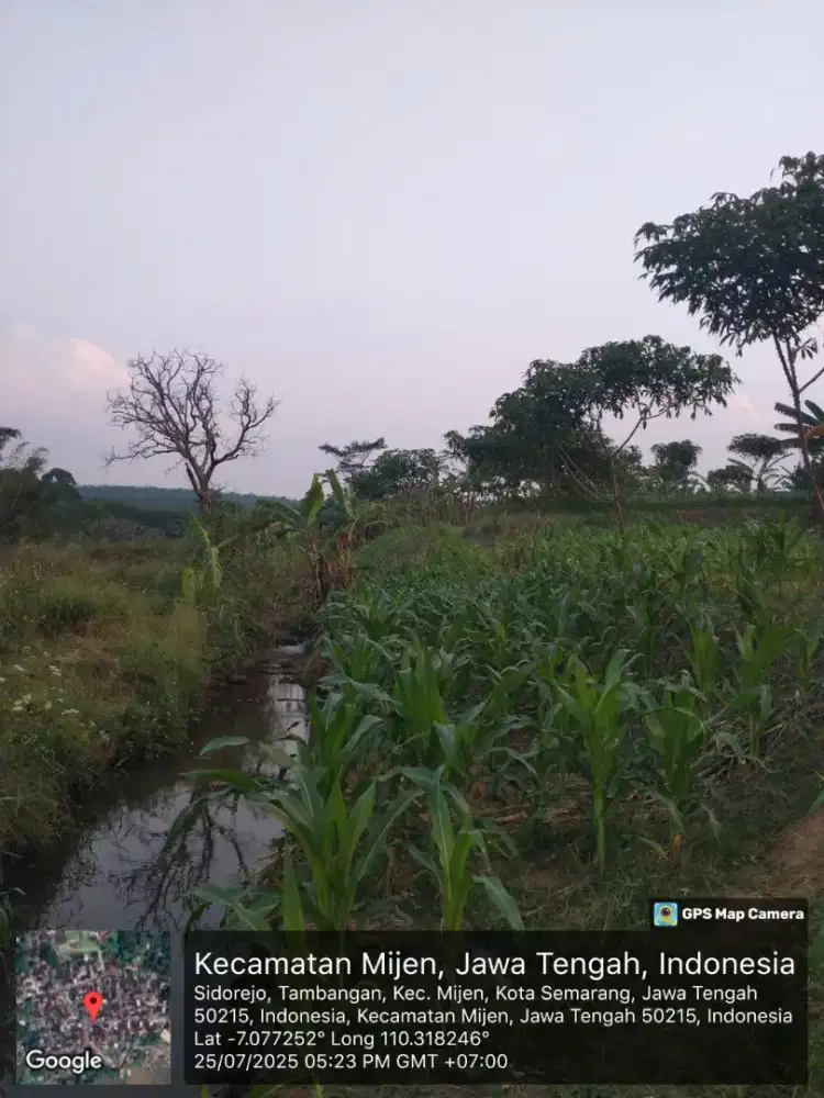 DIJUAL TANAH DI MIJEN SEMARANG DI ZONA PERUMAHAN LOKASI STRATEGIS