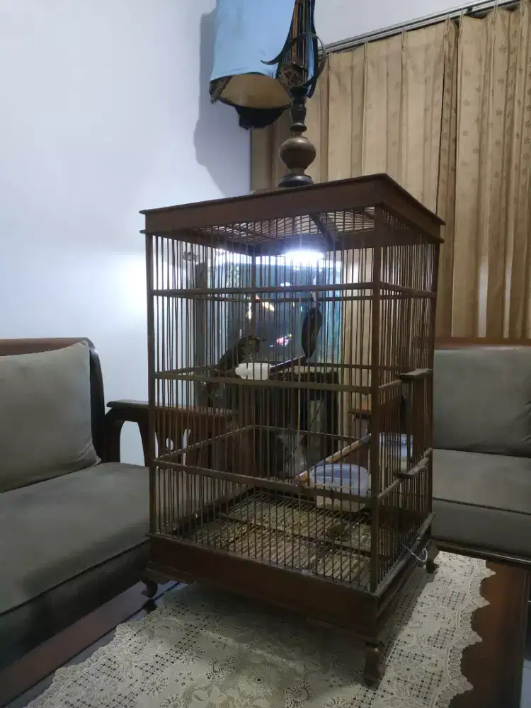 Cak wilis / rengganis