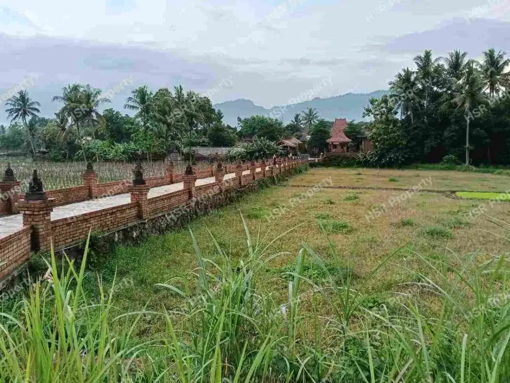 Jual Cepat Tanah Kosong