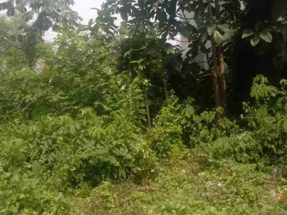 Dijual Tanah cocok untuk dibangun Gudang atau Toko Furniture dekat Pasar Citayam Harga Nego