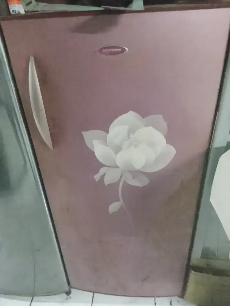 Kulkas normal 1 pintu