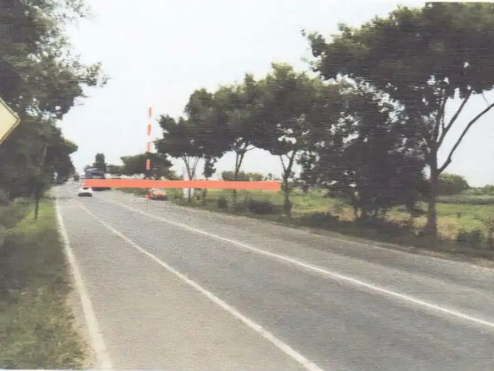 DISEWAKAN TANAH di pinggir jalan besar jalur pantura  jl Kragan-Rembang,  Desa Temaji, TUBAN, Jawa Timur