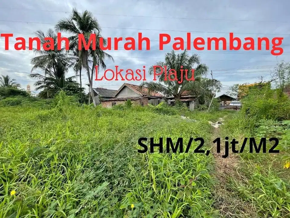 tanah plaju pinggir jalan aspal dekat kampus UMP