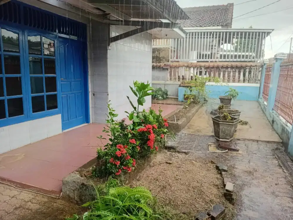 dikontrakan Rumah dan warung