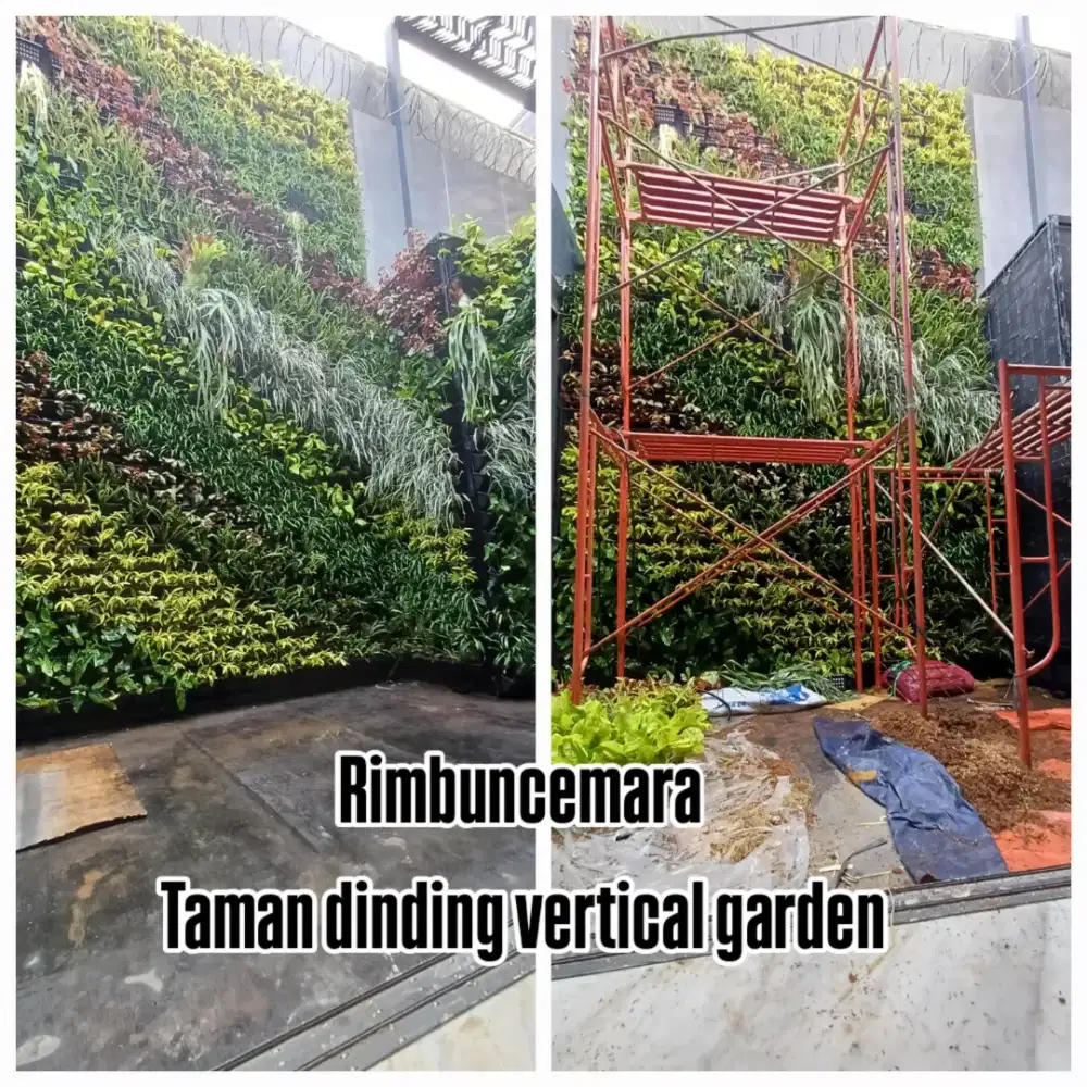 Tukang taman /tukang taman vertical garden/tukang vertical artificial
