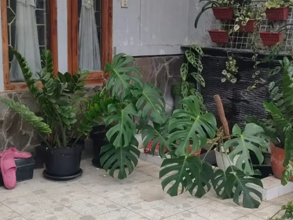 TERMURAH DIJUAL CEPAT Rumah 2 Lantai Nusa Loka BSD City NEGO