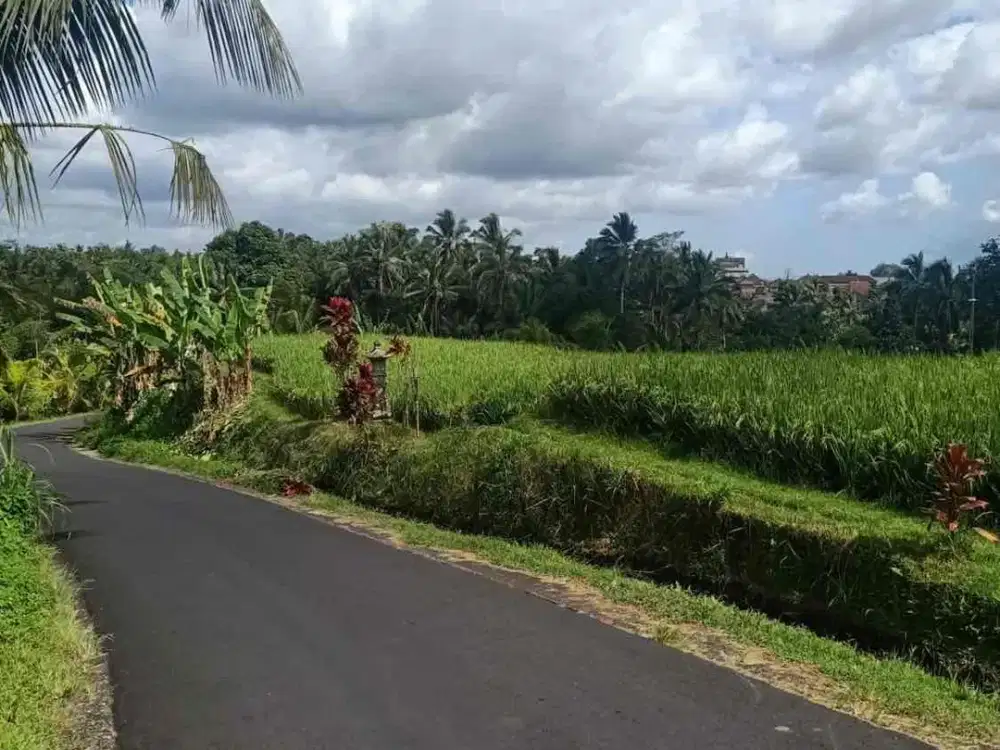 jual tanah penebel sangketan penebel tanah datar