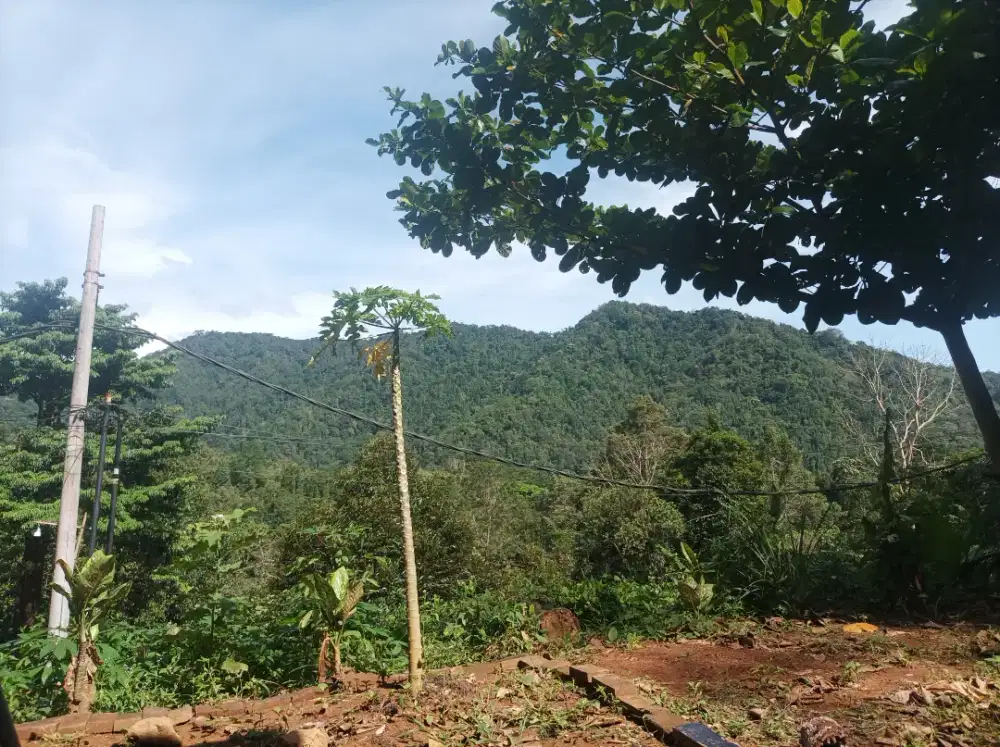 Jual tanah view gunung