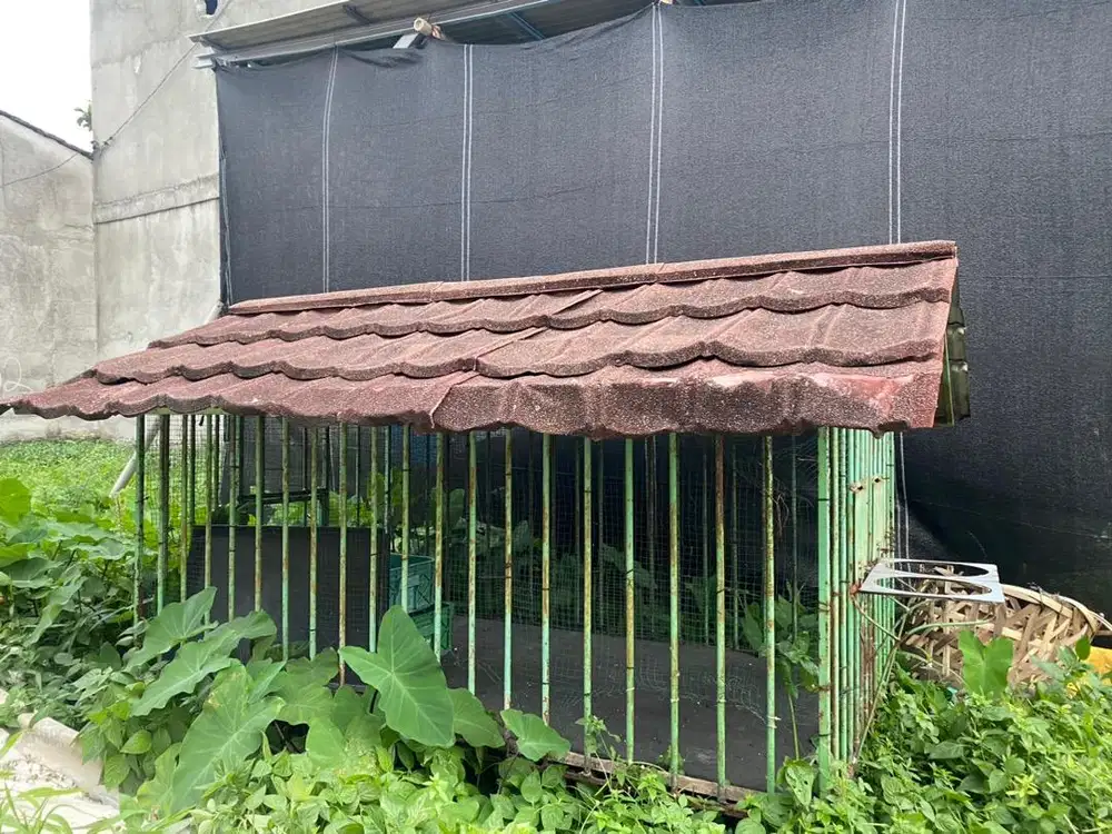 Kandang Outdoor Musang Atau Anjing