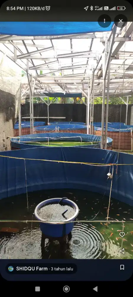 Di Jual Bekas Peternakan ikan