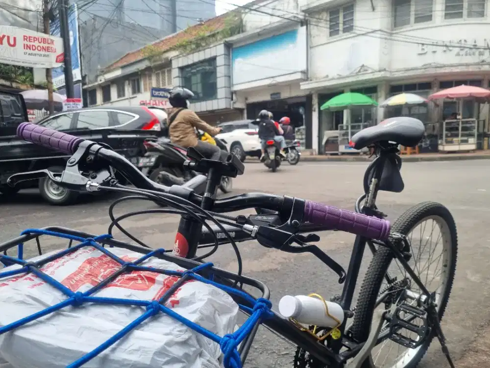 Jual sepeda federal BU