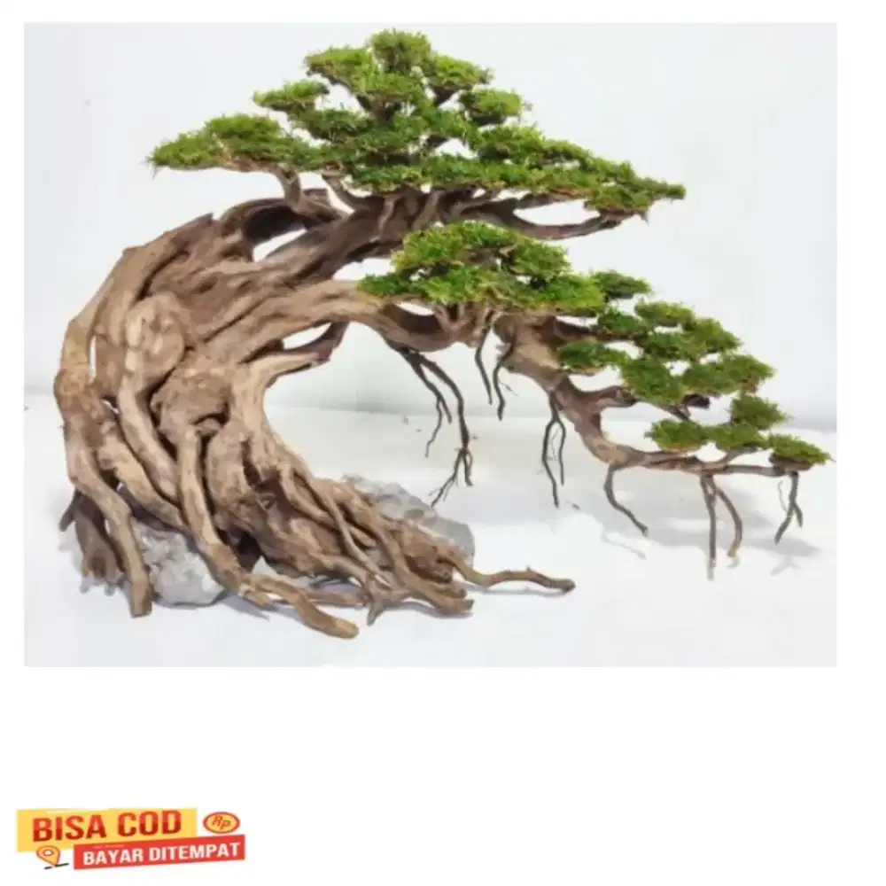 Bonsai aquascape dan bahan perlengkapan lainnya