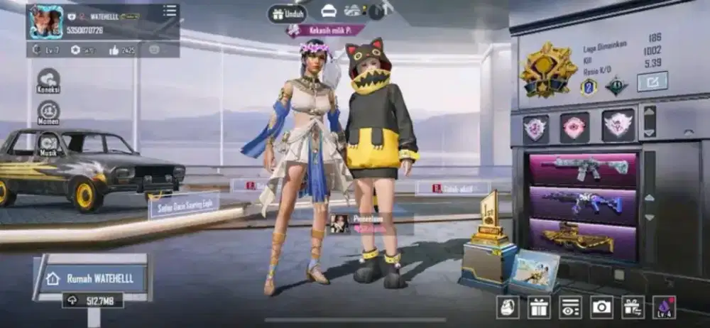 JUAL BELI AKUN PUBG MOBILE