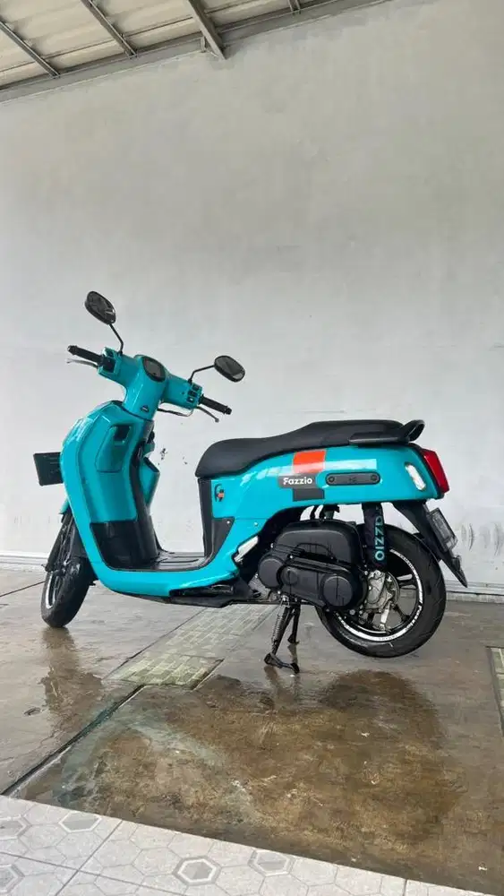 Jual Fazzio 2022