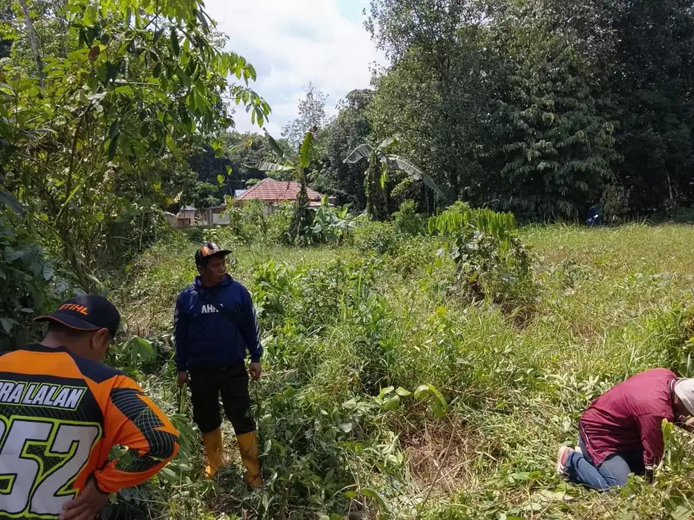 DIJUAL TANAH DI TAMIYANG TANJUNG TABALONG