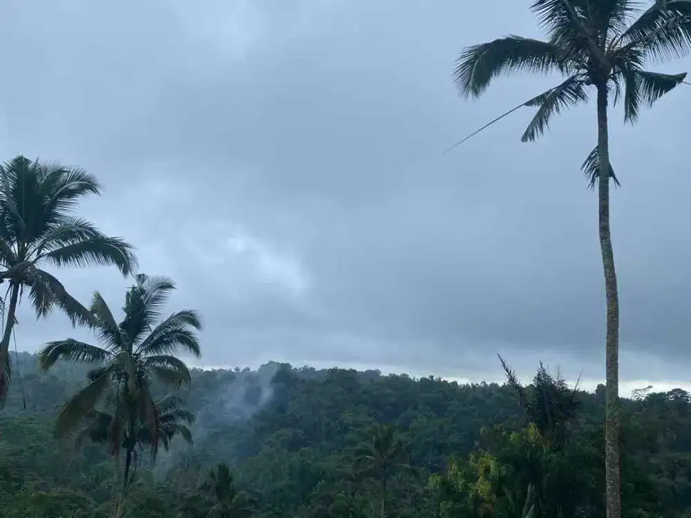 jual tanah penebel tabanan pesagi