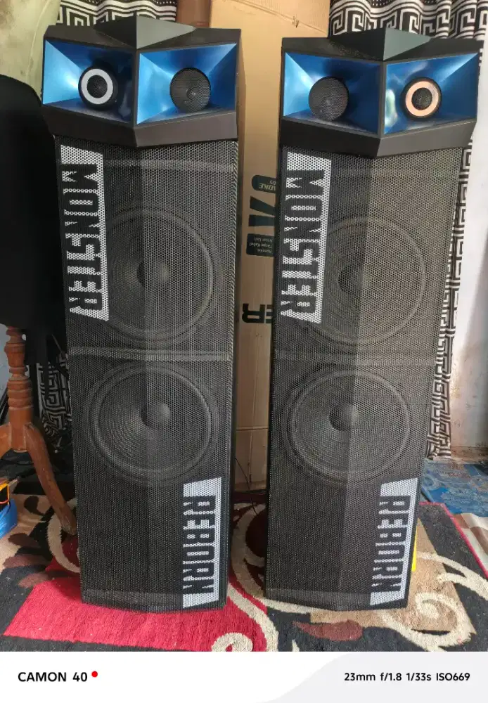 Speaker Roadmaster Monster 210 reborn