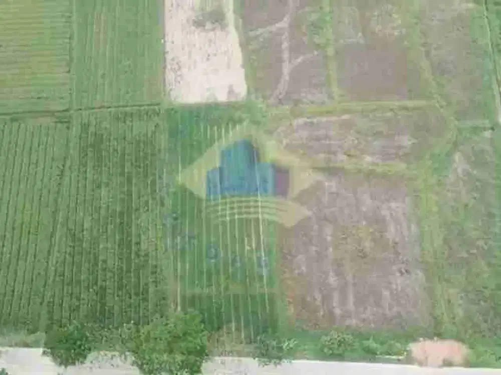 Dijual Tanah Industri Murah di Tunjung Teja, Serang - Banten. Akses Container 40 Feet!