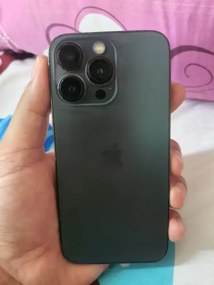 Iphone 13 Pro 256 GB