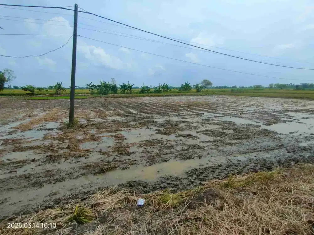 Dijual via lelang tanah murah di Benjeng Gresik