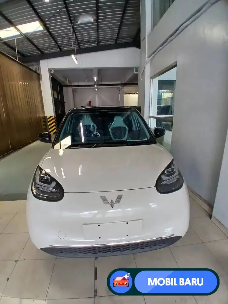 [Mobil Baru] DP Murah Binguo EV