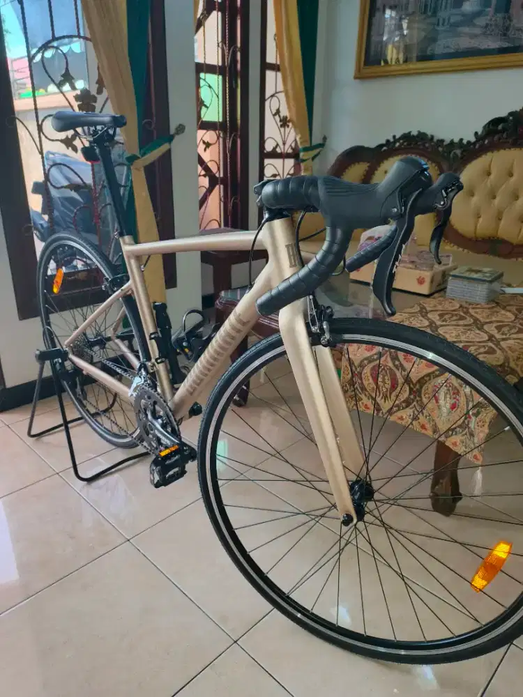 Roadbike Dominate RR