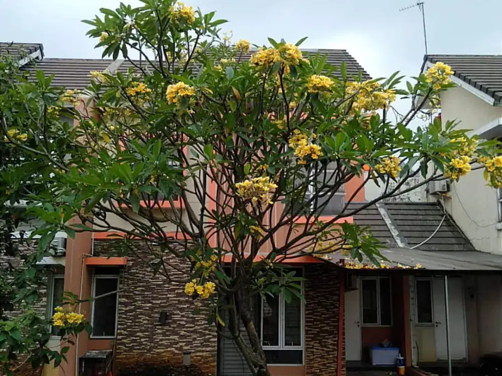 Dijual Rumah View taman samping Mall metland Transyogi