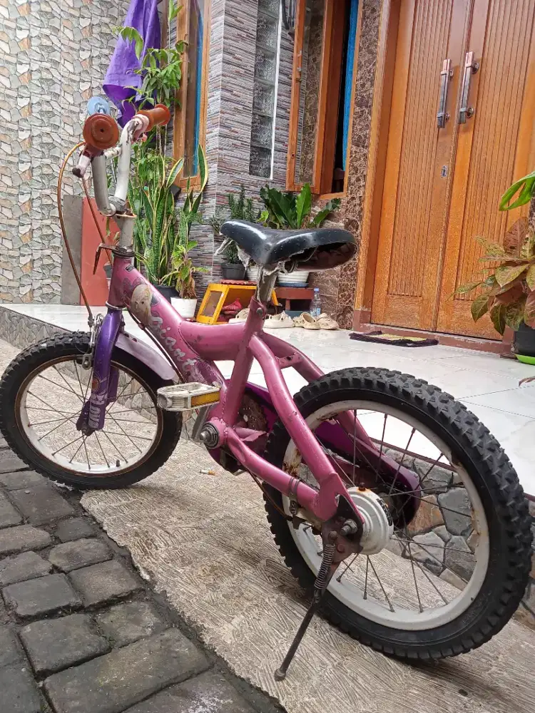 Sepeda anak perempuan