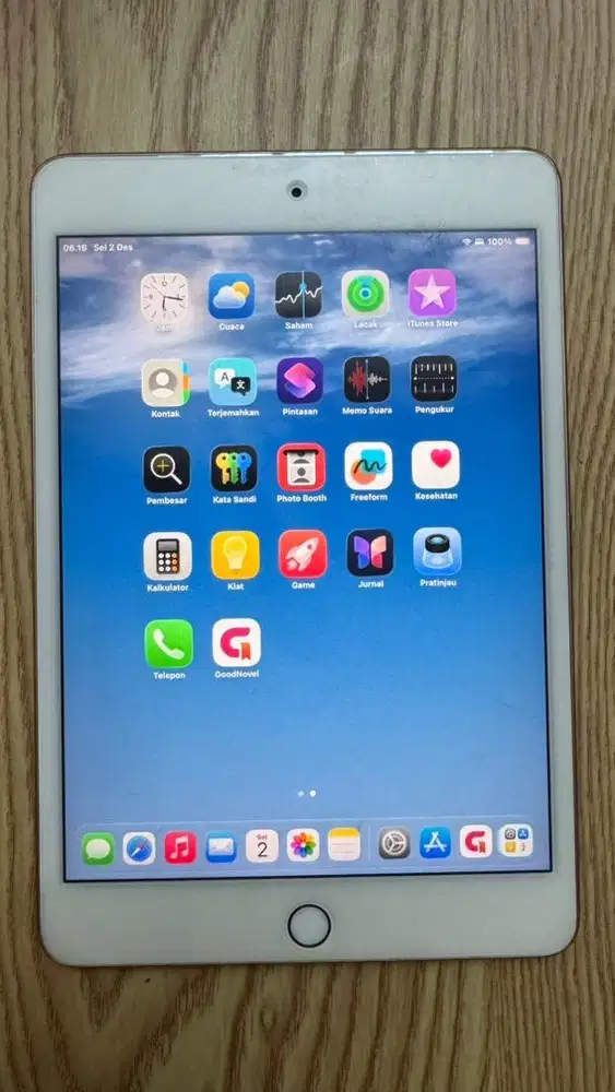 Ipad Mini 5 64GB ibox