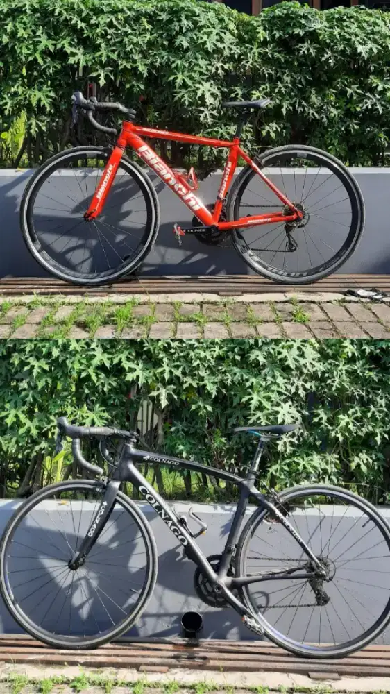 Bundling COLNAGO X BIANCHI