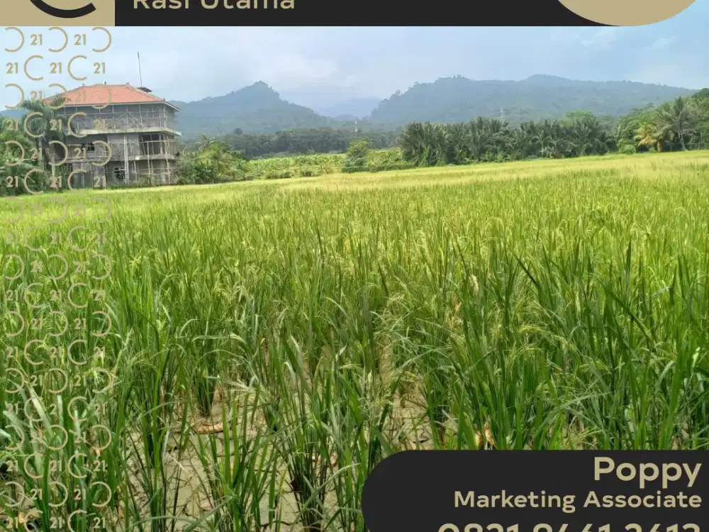 DIJUAL TANAH DI PINGGIR JALAN HADAP PANTAI CARITA PANDEGLANG BANTEN