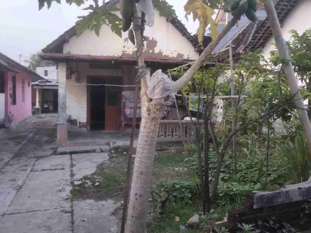 Dijual Tanah + Bangunan Lokasi Dekat Masjid Besar Dolopo