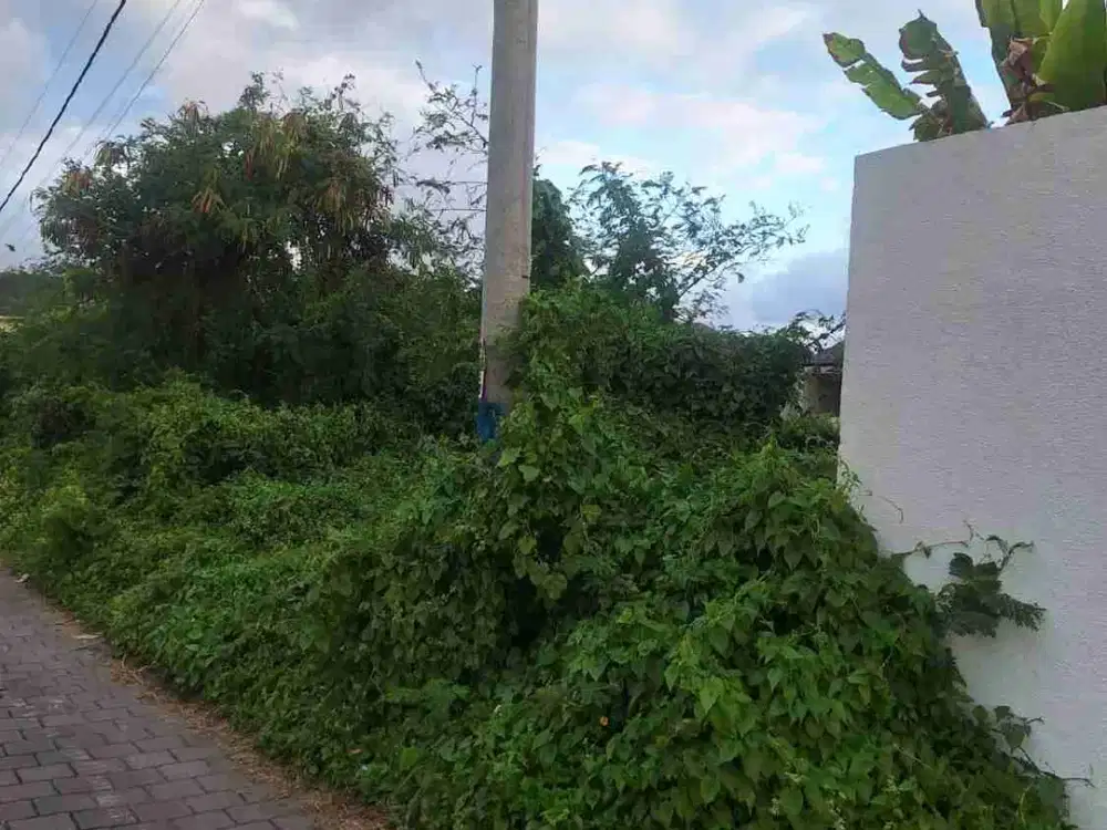 Jual Tanah Luas 300m² Zona Pariwisata Dekat Pantai Cemagi Canggu.