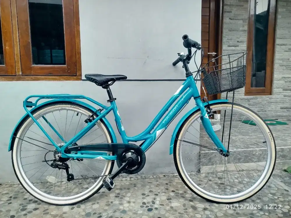 sepeda keranjang Polygon Sierra lite ukuran 26