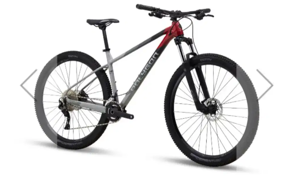 Polygon Sepeda Gunung Xtrada 5