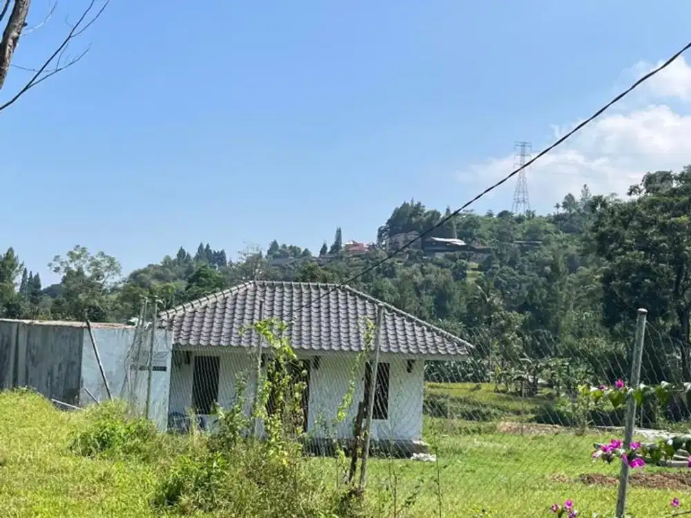 DIJUAL CEPAT TANAH DI CISARUA PUNCAK HARGA NEGO