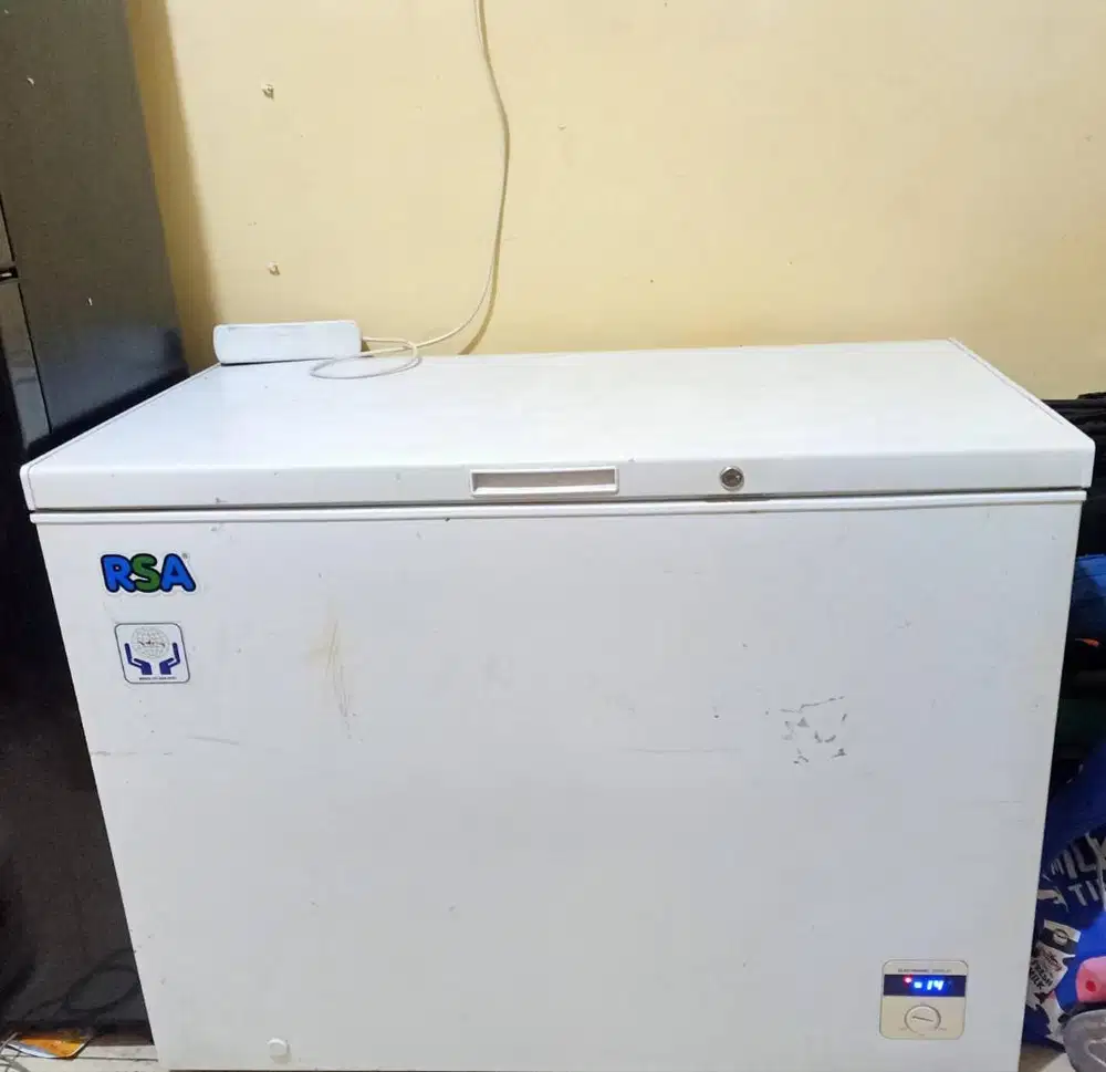 Freezer RSA 310L