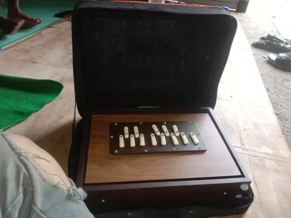 ALAT MUSIK INSTRUMENTAL INDIA