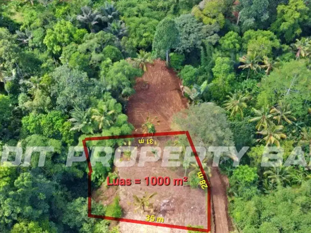 Tanah View Sungai & Jungle Payangan Ubud Gianyar