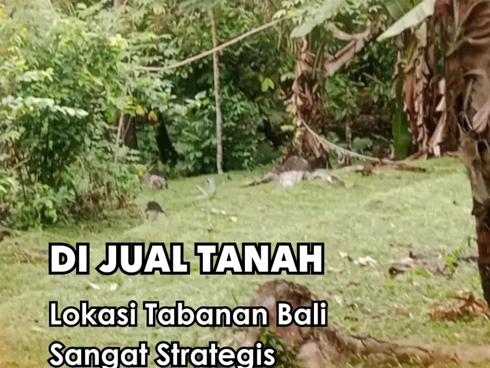 Dijual !!! Tanah Lokasi Tabanan Bali Sangat Strategis