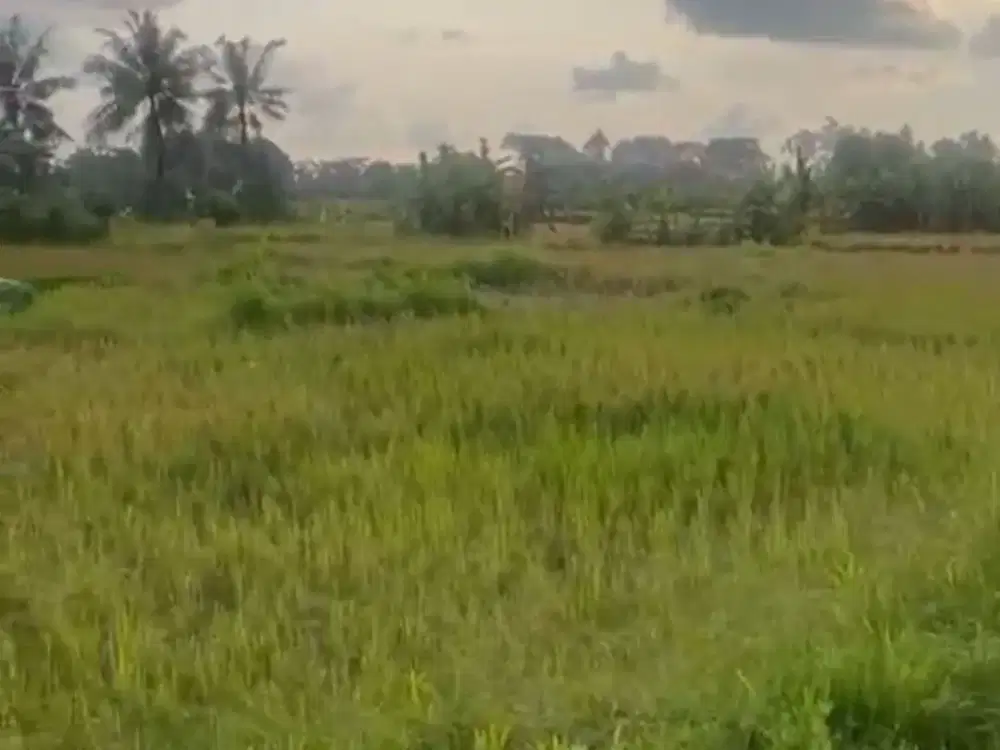 Tanah langka super murah full view sawah abadi